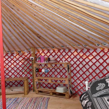 Alder Yurt Wych Elm Glamping Hotel Helston Bagian luar foto
