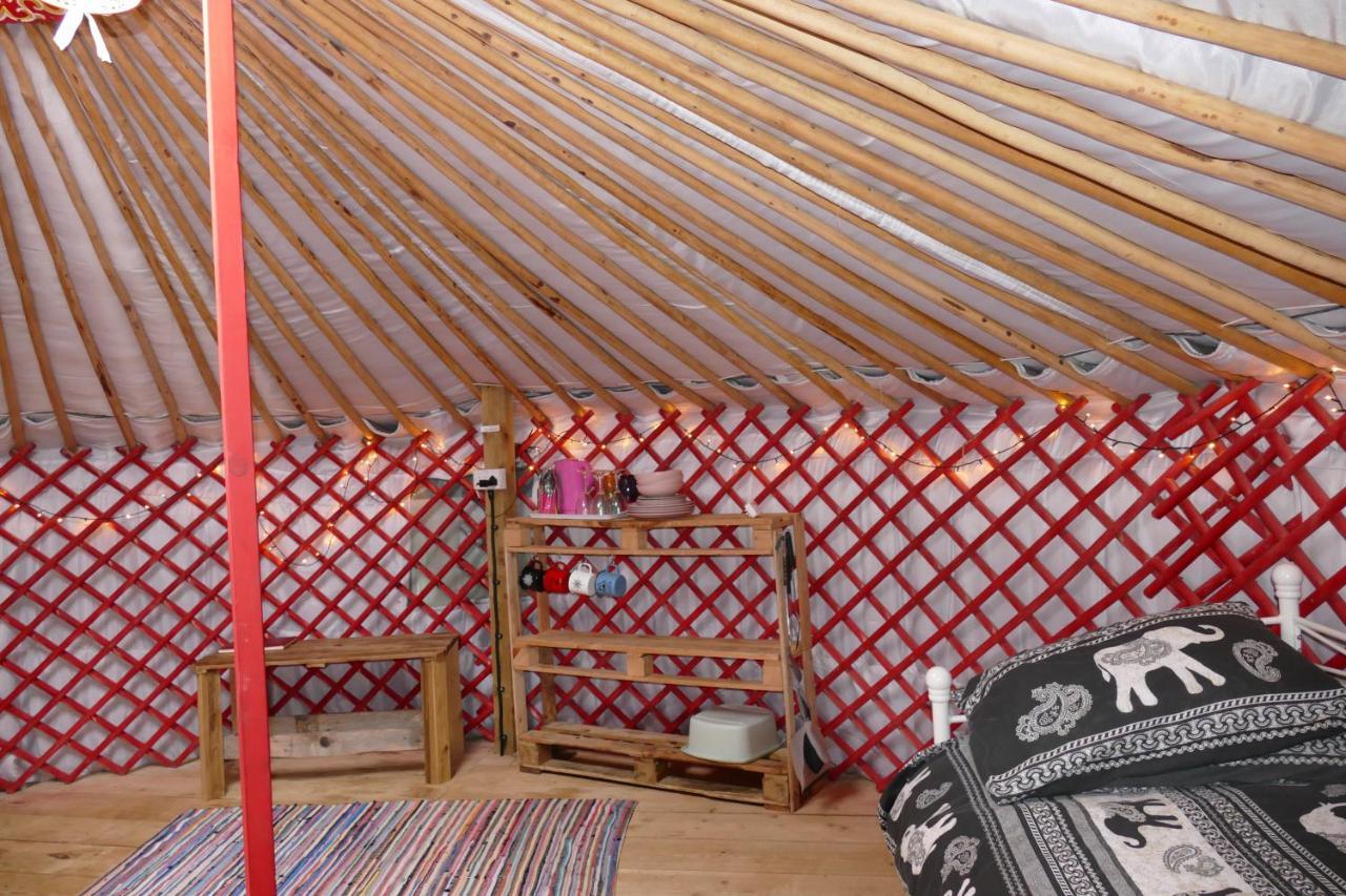 Alder Yurt Wych Elm Glamping Hotel Helston Bagian luar foto