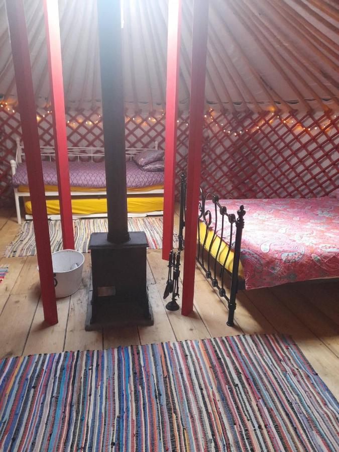 Alder Yurt Wych Elm Glamping Hotel Helston Bagian luar foto