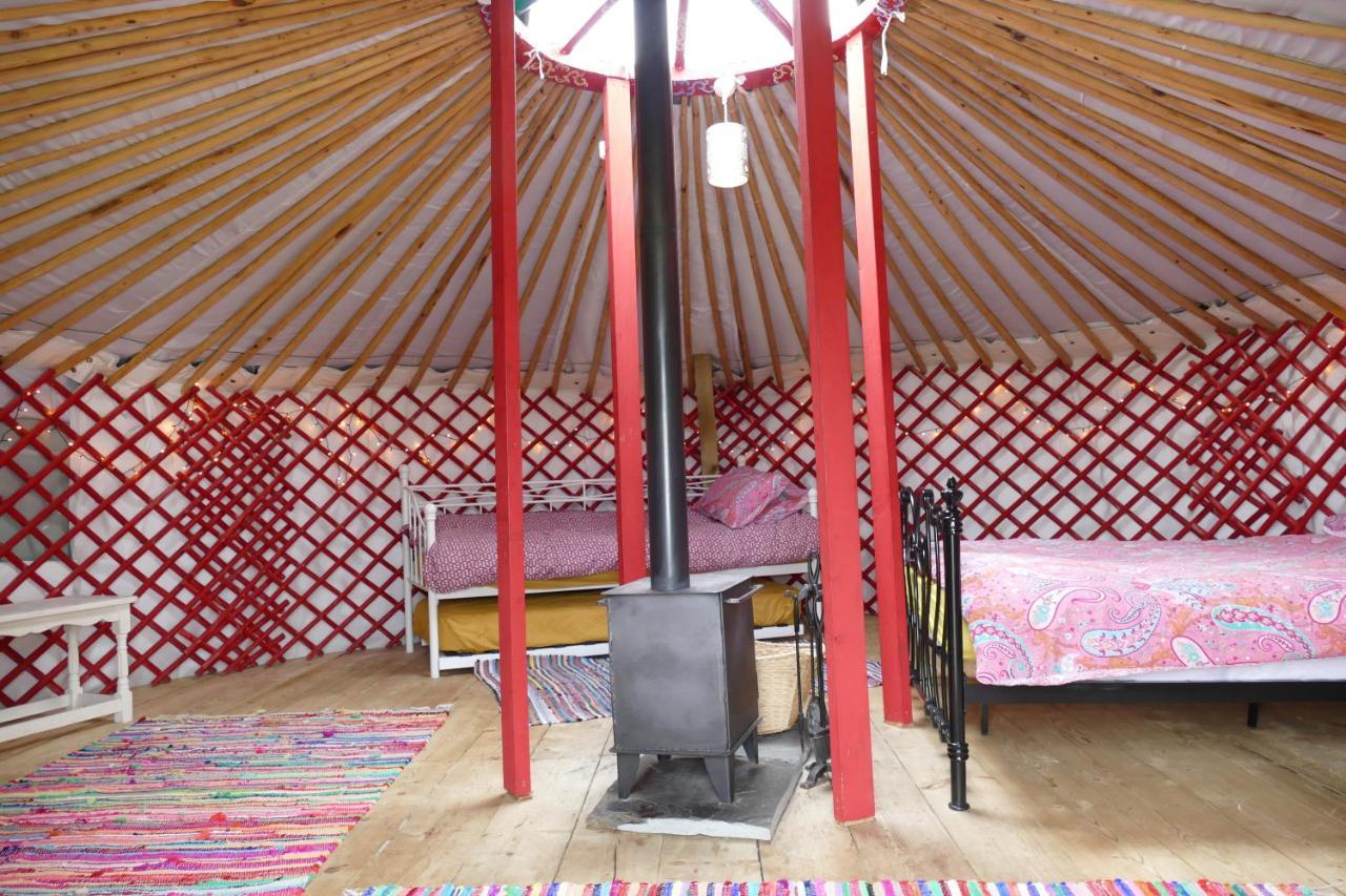Alder Yurt Wych Elm Glamping Hotel Helston Bagian luar foto