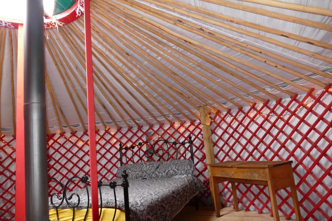 Alder Yurt Wych Elm Glamping Hotel Helston Bagian luar foto