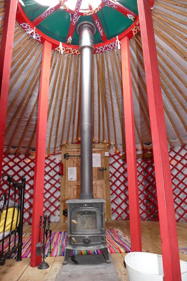Alder Yurt Wych Elm Glamping Hotel Helston Bagian luar foto
